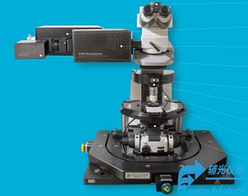 活体多光子显微镜_活体多光子成像系统vivo multiphoton为活细胞设计-辅光仪器